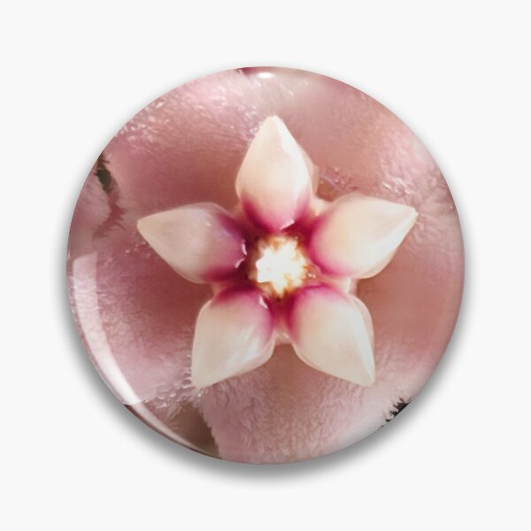 Item preview, Natural Beauty Up Close by ElitebyElise designed and sold by ElitebyElise.