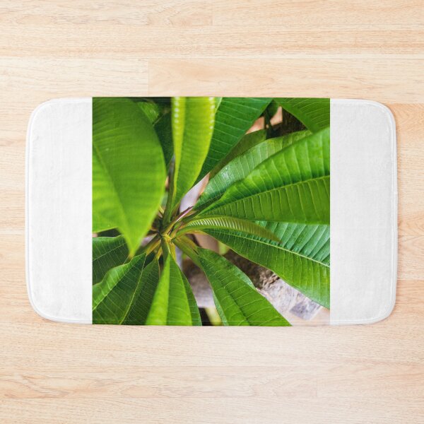 Item preview, Green Plumeria Leaves Close-Up: Tropical Foliage Texture and Vibrant Botanical Detail for Nature Background designed and sold by Nmallia.