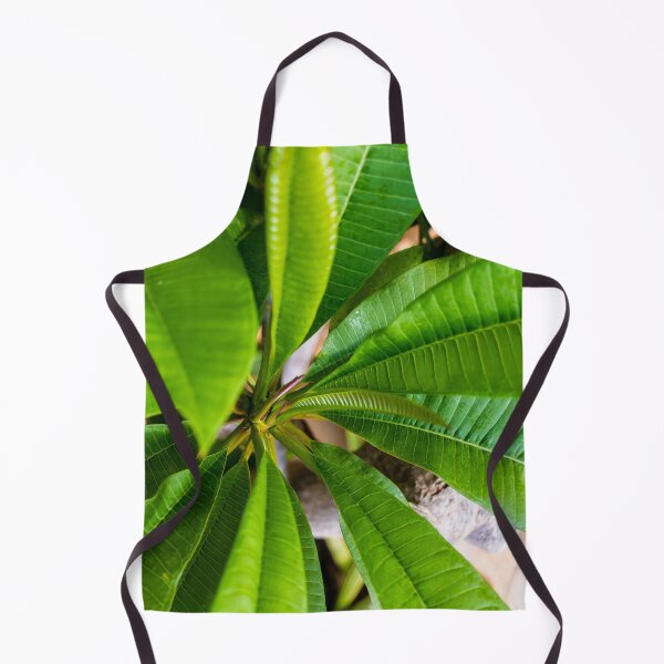 Item preview, Green Plumeria Leaves Close-Up: Tropical Foliage Texture and Vibrant Botanical Detail for Nature Background designed and sold by Nmallia.