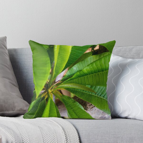 Item preview, Green Plumeria Leaves Close-Up: Tropical Foliage Texture and Vibrant Botanical Detail for Nature Background designed and sold by Nmallia.