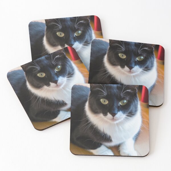 Item preview, Animals - Bicolor Tuxedo Cat, Feline Portrait with Intense Yellow-Green Eyes designed and sold by World-Pets.