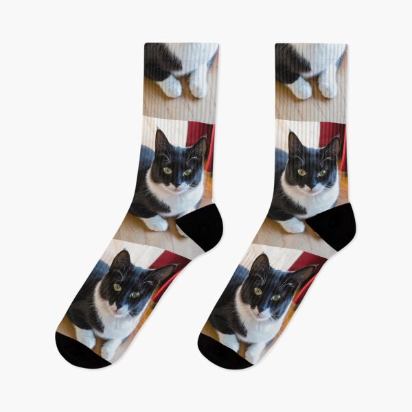 Item preview, Animals - Bicolor Tuxedo Cat, Feline Portrait with Intense Yellow-Green Eyes designed and sold by World-Pets.