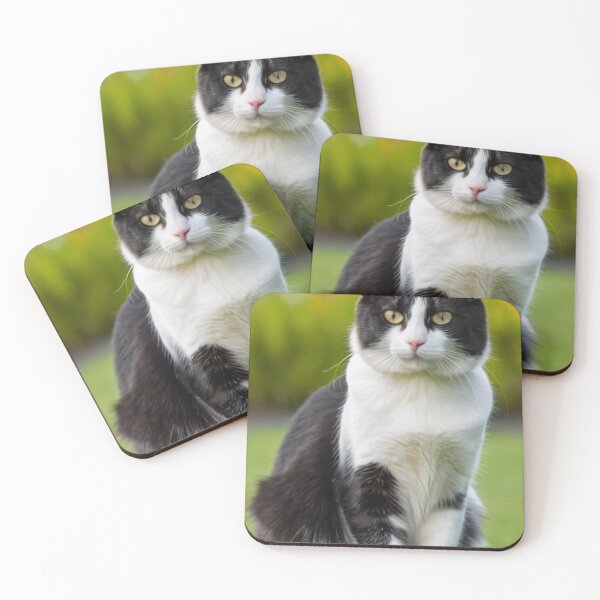 Item preview, Animals - Black and white bicolor cat, Elegant portrait with amber eyes designed and sold by World-Pets.