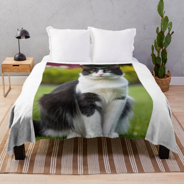 Item preview, Animals - Black and white bicolor cat, Elegant portrait with amber eyes designed and sold by World-Pets.