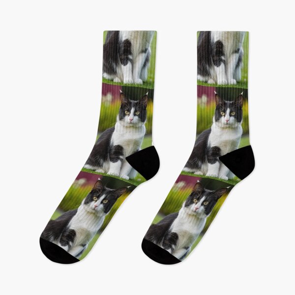 Item preview, Animals - Black and white bicolor cat, Elegant portrait with amber eyes designed and sold by World-Pets.