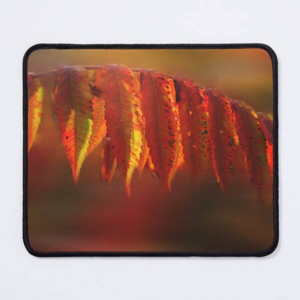 Item preview, Indian Summer designed and sold by Wayne King.