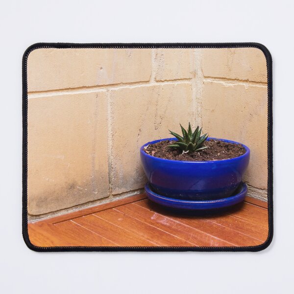 Item preview, Small Succulent In A Blue Pot On A Wooden Cabinet In A Minimal Corner Interior designed and sold by Nmallia.