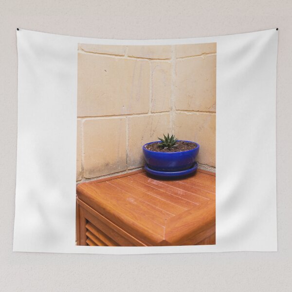 Item preview, Small Succulent In A Blue Pot On A Wooden Cabinet In A Minimal Corner Interior designed and sold by Nmallia.