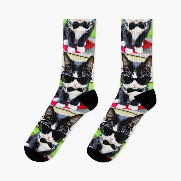 Item preview, Animals - Black and White Cat, Cool Humor and Internet Pop Culture designed and sold by World-Pets.