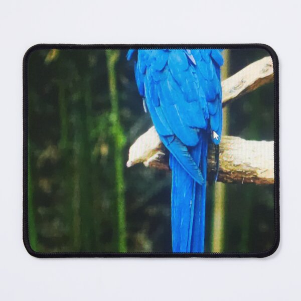 Item preview, Beautiful Hyacinth Macaw Blue Parrot designed and sold by wahyuroni9.