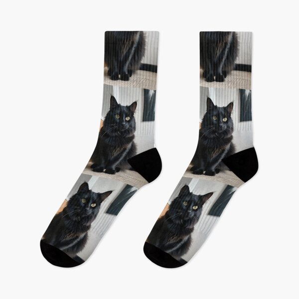 Item preview, Animals - Black Cat with Golden Eyes, Feline Elegance in a Modern Interior designed and sold by World-Pets.