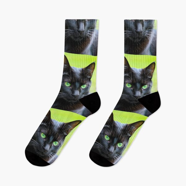 Item preview, Animals - Black Cat with Green Eyes, Hypnotic Gaze and Contemporary Design designed and sold by World-Pets.
