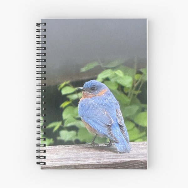 Item preview, Bluebird designed and sold by Junipurr’s Corner .
