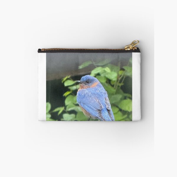 Item preview, Bluebird designed and sold by Junipurr’s Corner .