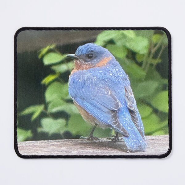Item preview, Bluebird designed and sold by Junipurr’s Corner .