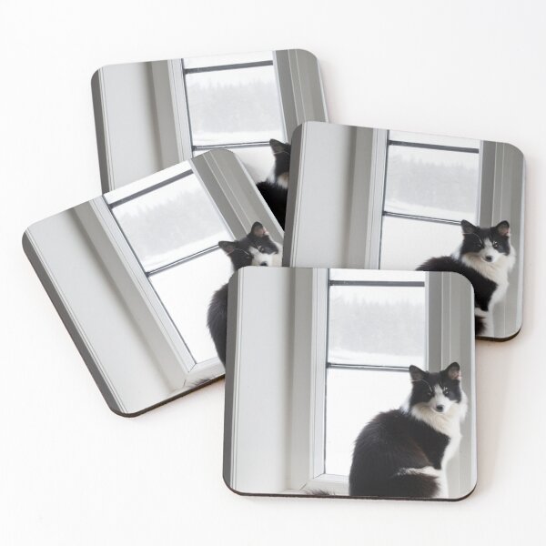 Item preview, Animals - Contemplative Black and White Cat, Serenity at the Window designed and sold by World-Pets.
