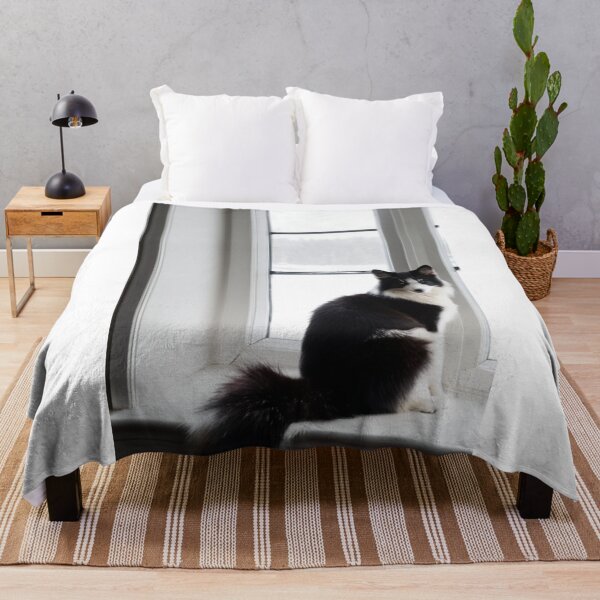 Item preview, Animals - Contemplative Black and White Cat, Serenity at the Window designed and sold by World-Pets.