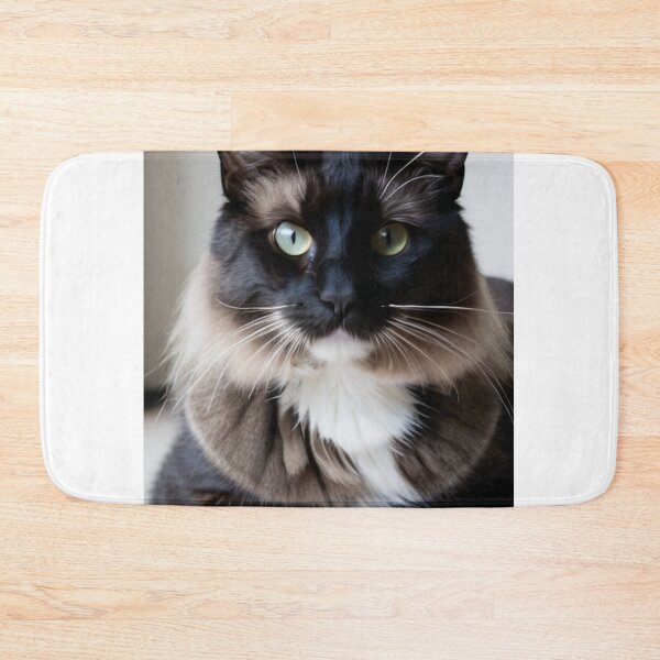 Aperçu de l'œuvre Animals - Elegant Bicolor Cat, Feline Portrait with Amber Eyes créée et vendue par World-Pets.