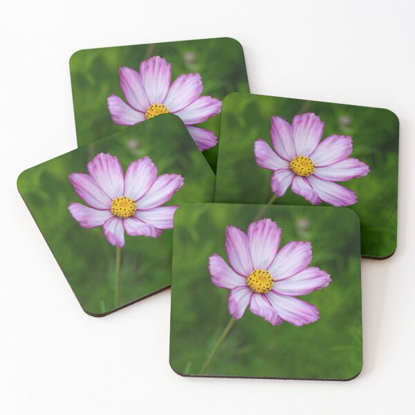 Item preview, cosmos candy stripe designed and sold by codaimages.