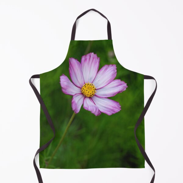 Item preview, cosmos candy stripe designed and sold by codaimages.