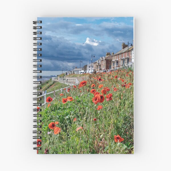 Item preview, A storm approaching Southwold seafront beachhuts  designed and sold by stevepaint.