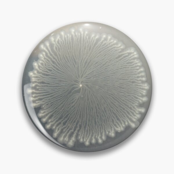 Item preview, Circularly branching colony on PCA designed and sold by Fromthelab.