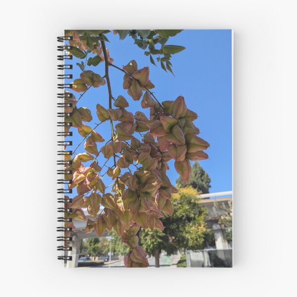 Item preview, The blue sky and Golden rain tree designed and sold by gaohao1.