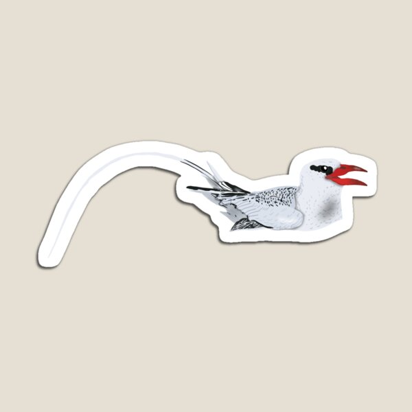 Item preview, Red Billed TropicBird Floating designed and sold by BDBirds.