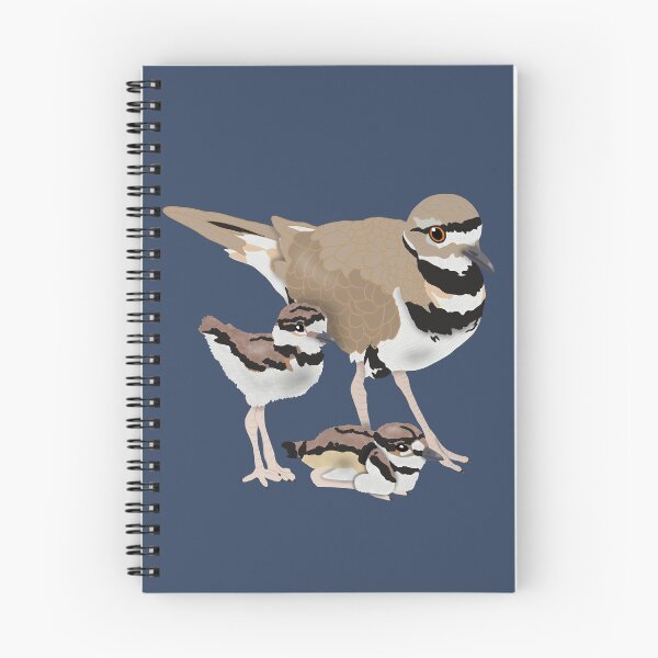 Item preview, Killdeer Family designed and sold by BDBirds.