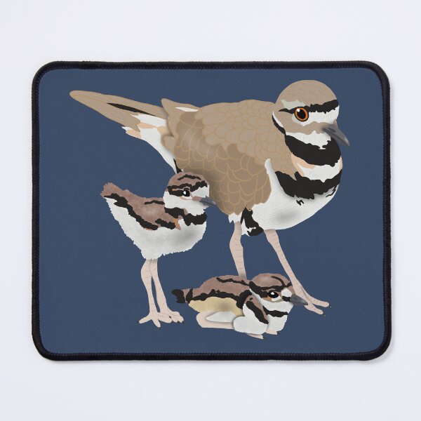 Item preview, Killdeer Family designed and sold by BDBirds.