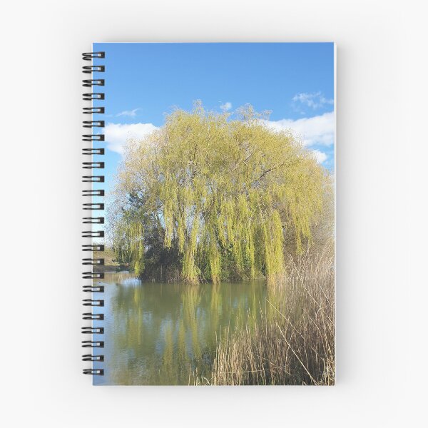 Item preview, Weeping willow on the lake designed and sold by LifeLookingCloser.