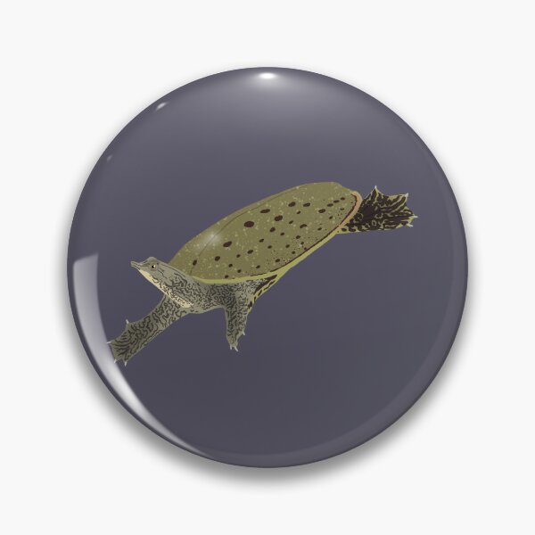 Item preview, Spiny Softshell Turtle designed and sold by BDBirds.