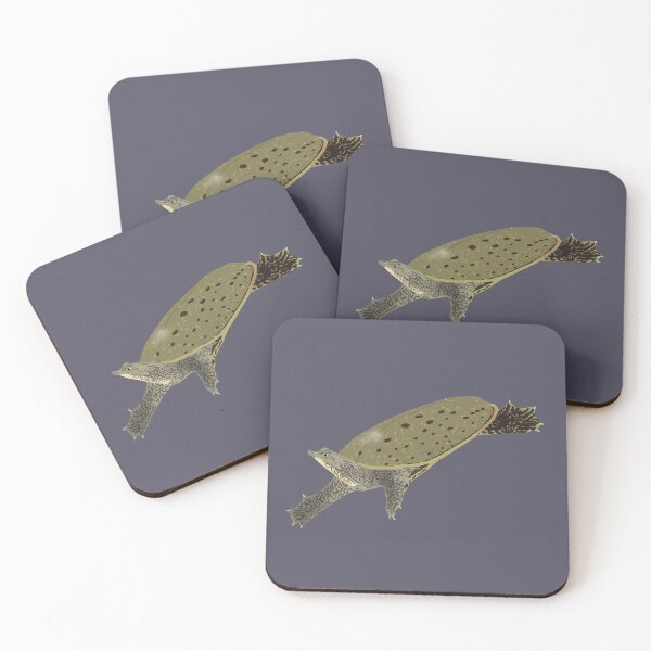 Item preview, Spiny Softshell Turtle designed and sold by BDBirds.