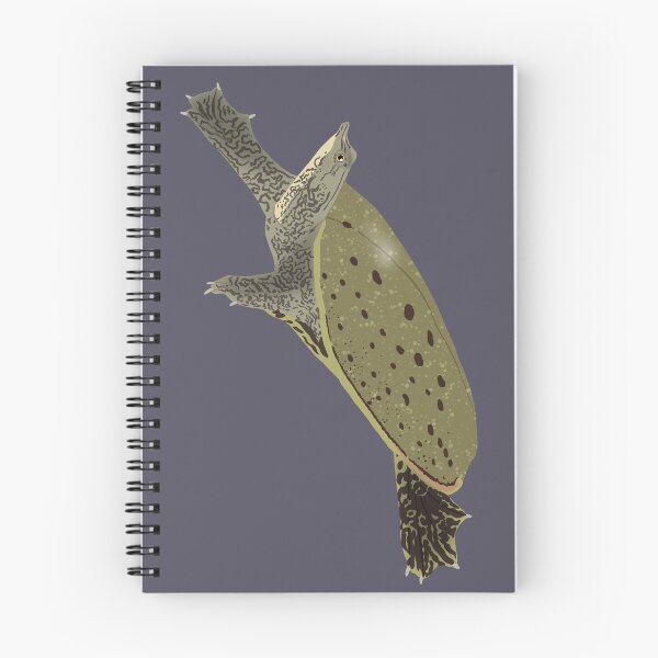 Item preview, Spiny Softshell Turtle designed and sold by BDBirds.