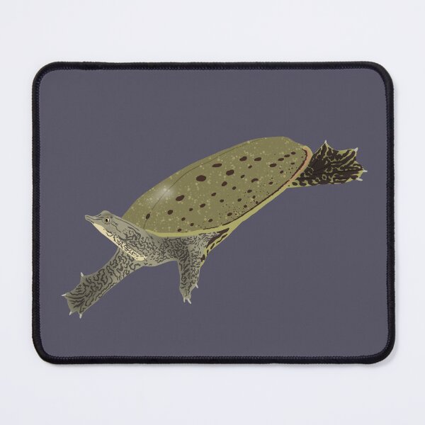Item preview, Spiny Softshell Turtle designed and sold by BDBirds.