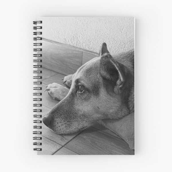 Item preview, Sad Dog designed and sold by Javier Narváez Solarte.