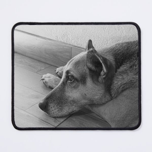 Item preview, Sad Dog designed and sold by Javier Narváez Solarte.