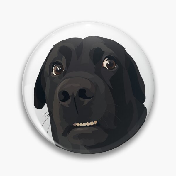 Item preview, Socked Scared Dog Meme Illustration designed and sold by PrintondemArt.