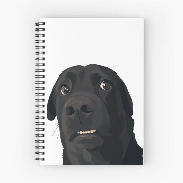 Item preview, Socked Scared Dog Meme Illustration designed and sold by PrintondemArt.