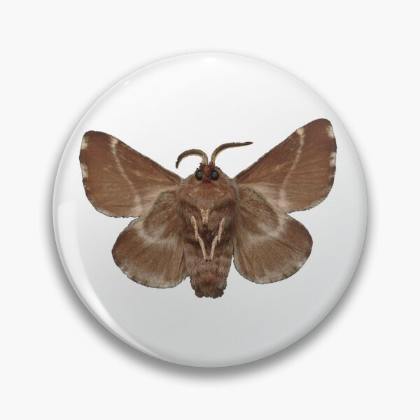 Item preview, Moth designed and sold by hadriatics.