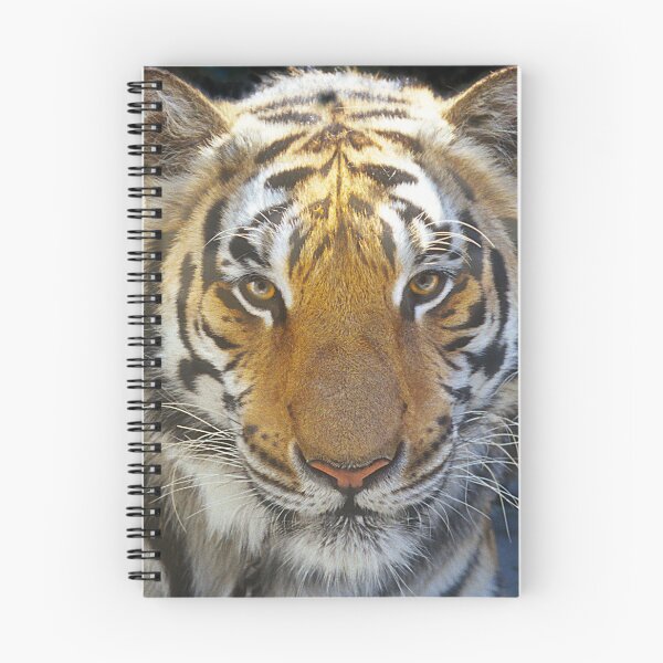 Item preview, Tiger Face Art Photo designed and sold by DEC02.
