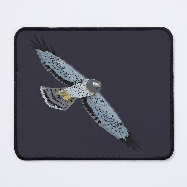Item preview, Grey Ghost/ Northern Harrier Hawk designed and sold by BDBirds.