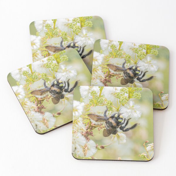 Item preview, Bee on Fluffy White Flowers designed and sold by Codavid85.