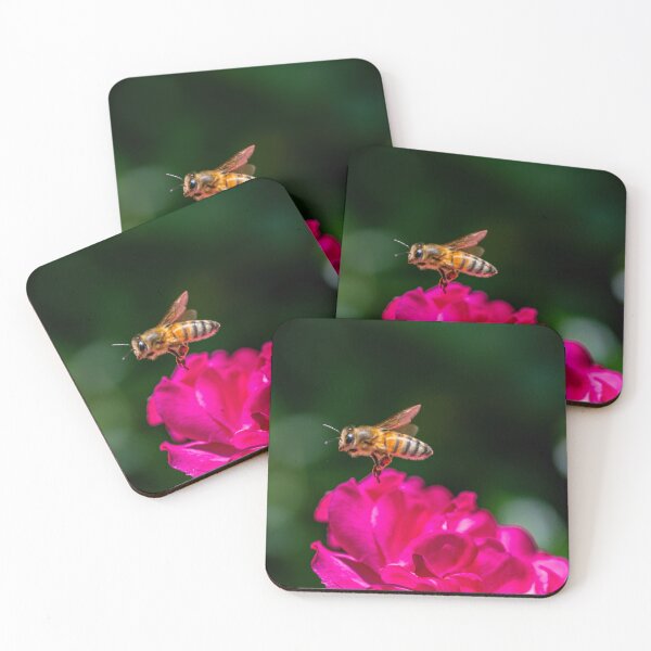 Item preview, Bee Hovering Over Vibrant Pink Rose designed and sold by Codavid85.