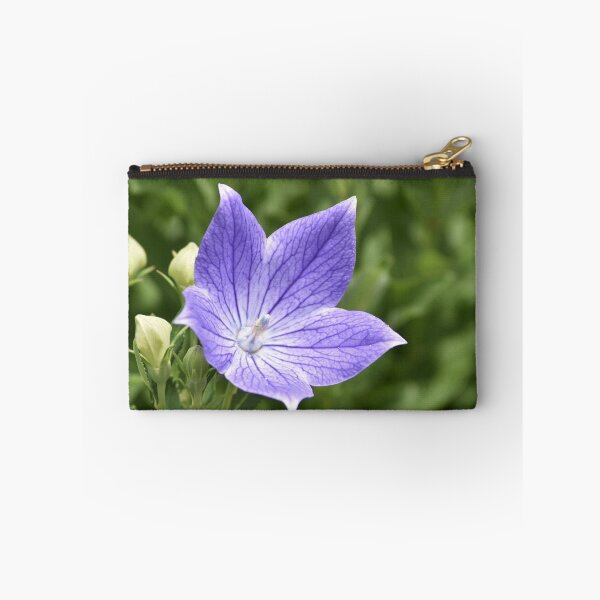 Item preview, Blue Balloon Flower Macro Photography designed and sold by TathataPhotos.