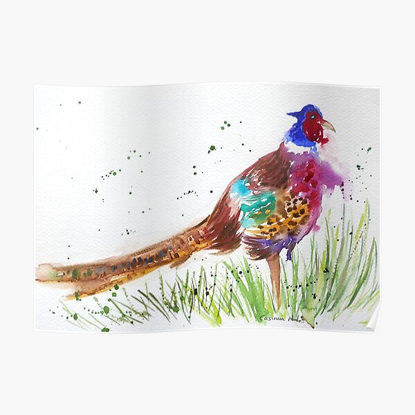 Pheasant Poster