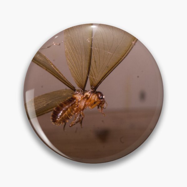 Item preview, Winged Termite designed and sold by ROSE ANN BANILAR.