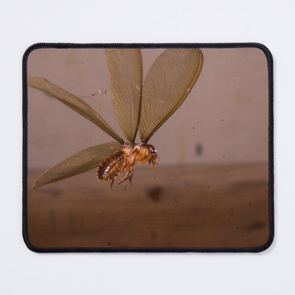 Item preview, Winged Termite designed and sold by ROSE ANN BANILAR.