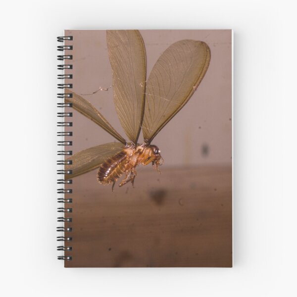 Item preview, Winged Termite designed and sold by ROSE ANN BANILAR.