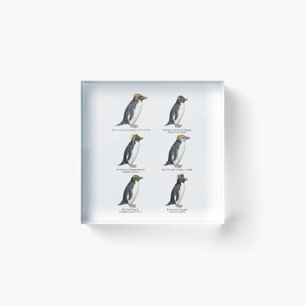 Item preview, Penguin species part 2 designed and sold by ArunDandiboina.